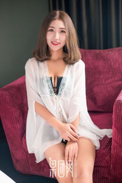 上门女婿叶辰小说